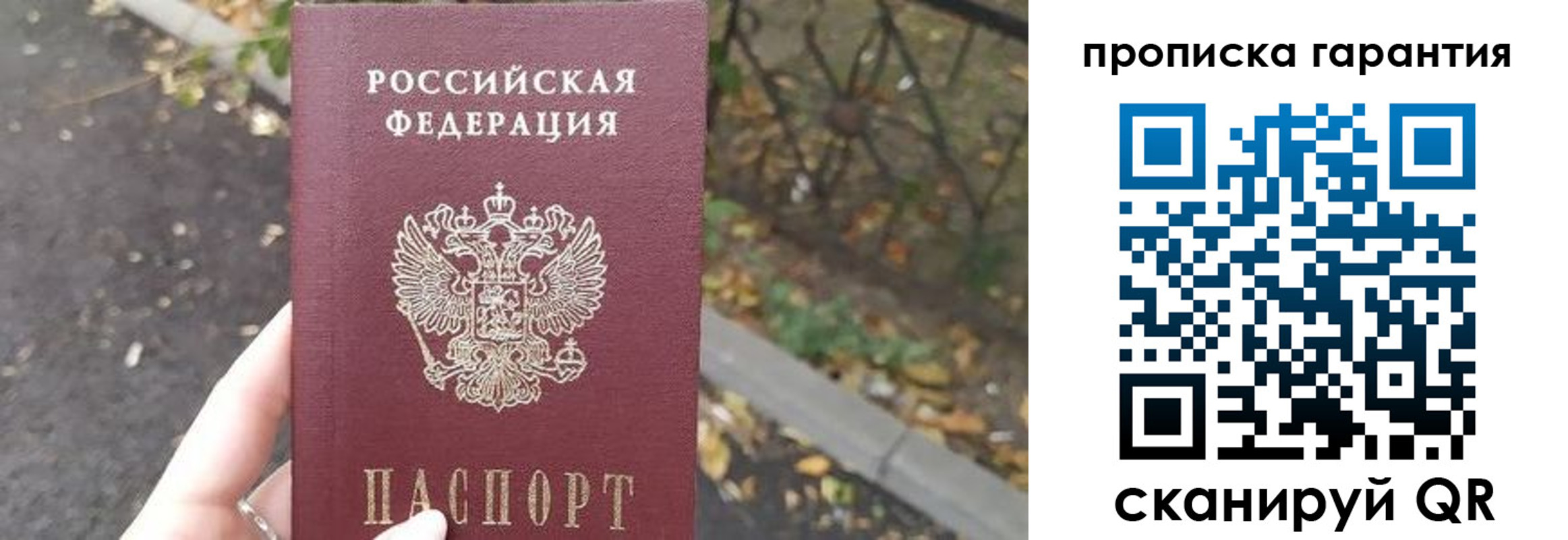 где прописаться в Михайловке